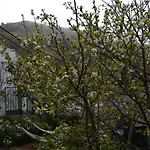 Appartamento Rural Gomera Arure