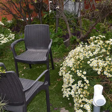 Rural Gomera Apartment Arure