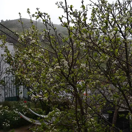Apartamento Rural Gomera Arure