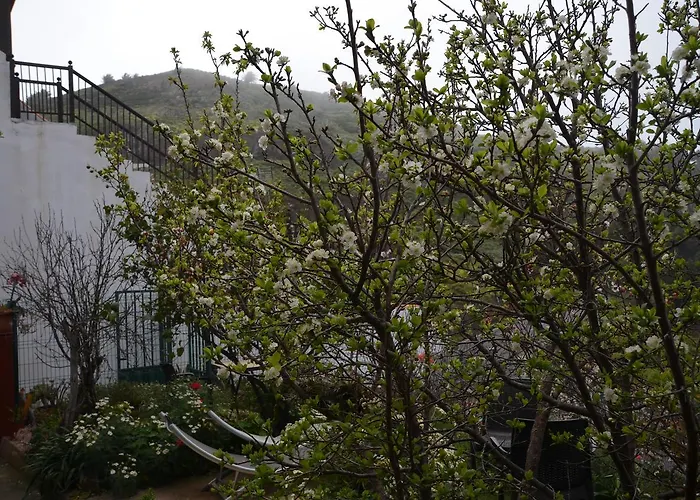 Lejlighed Rural Gomera Arure